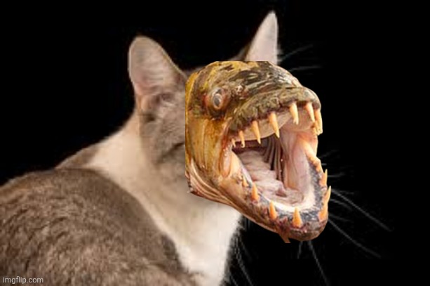 PIRANHA CAT POWER AUSTRIASIZE! Blank Meme Template