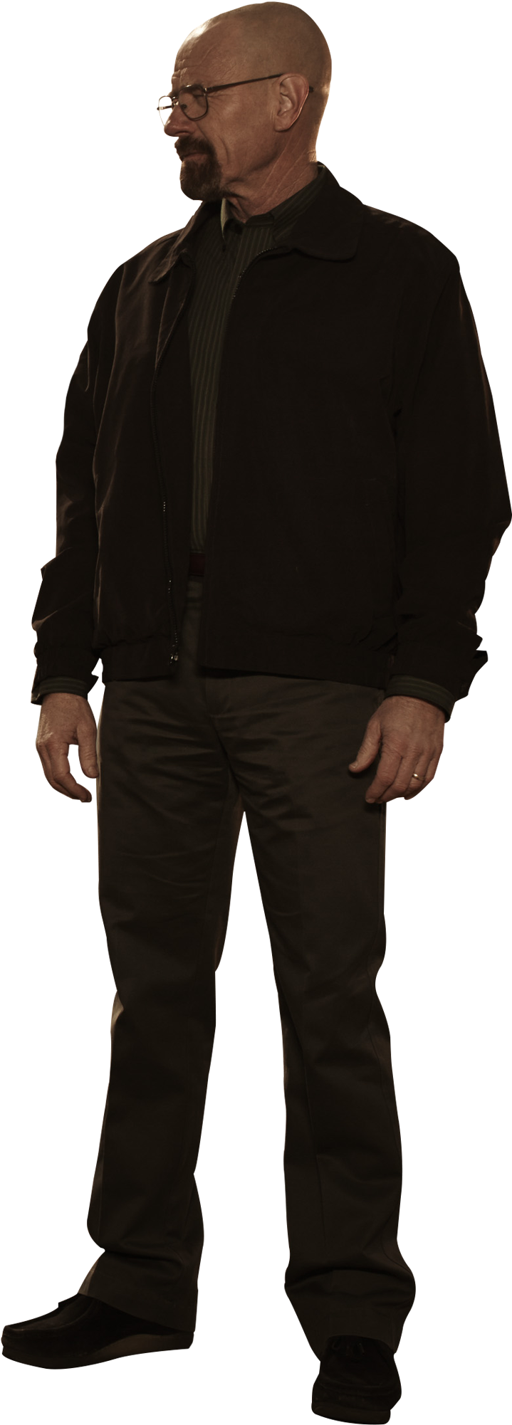 Walter White Blank Meme Template