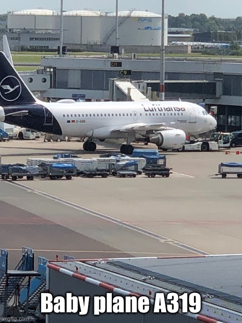 Baby plane A319 | made w/ Imgflip meme maker