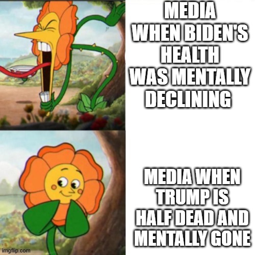 Sunflower | MEDIA WHEN BIDEN'S HEALTH WAS MENTALLY DECLINING; MEDIA WHEN TRUMP IS HALF DEAD AND MENTALLY GONE | image tagged in sunflower | made w/ Imgflip meme maker