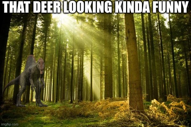 sunlit forest | THAT DEER LOOKING KINDA FUNNY | image tagged in sunlit forest,spinosaurus,idk,meme,funny | made w/ Imgflip meme maker