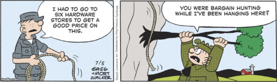 Beetle Bailey | image tagged in comics | made w/ Imgflip meme maker