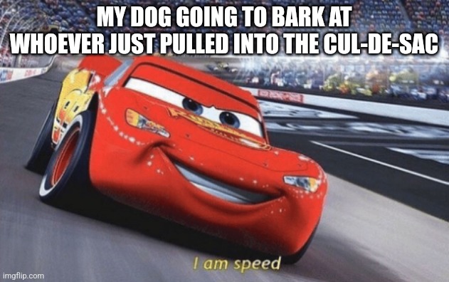 I am speed | MY DOG GOING TO BARK AT WHOEVER JUST PULLED INTO THE CUL-DE-SAC | image tagged in i am speed | made w/ Imgflip meme maker