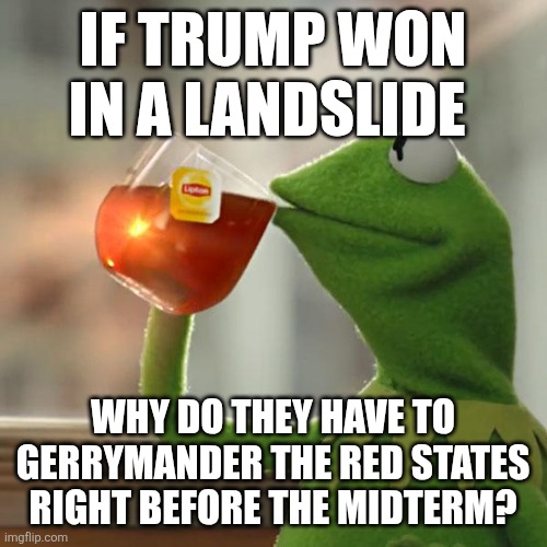 Well? | IF TRUMP WON IN A LANDSLIDE; WHY DO THEY HAVE TO GERRYMANDER THE RED STATES RIGHT BEFORE THE MIDTERM? | image tagged in memes,but that's none of my business,kermit the frog | made w/ Imgflip meme maker