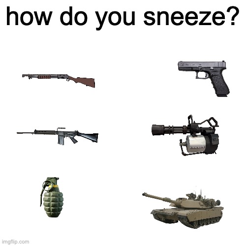 Shotgun maybe | how do you sneeze? | image tagged in msmg | made w/ Imgflip meme maker
