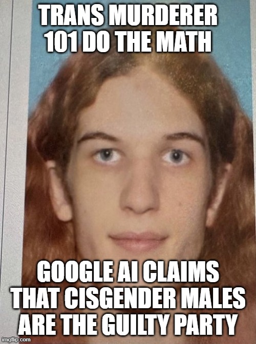 Another Trans Liberal Mass Murderer | TRANS MURDERER 101 DO THE MATH; GOOGLE AI CLAIMS THAT CISGENDER MALES ARE THE GUILTY PARTY | image tagged in another trans liberal mass murderer | made w/ Imgflip meme maker