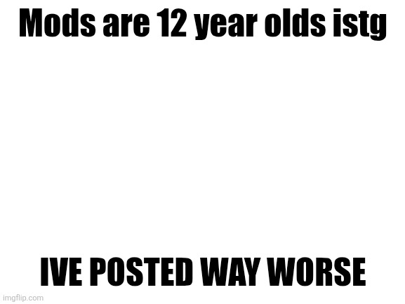 Blank White Template | Mods are 12 year olds istg; IVE POSTED WAY WORSE | image tagged in blank white template | made w/ Imgflip meme maker
