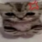 Mad kitty Blank Meme Template