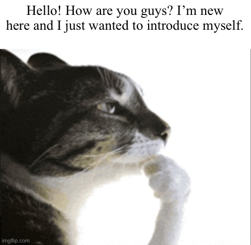 :D | Hello! How are you guys? I’m new here and I just wanted to introduce myself. | made w/ Imgflip meme maker