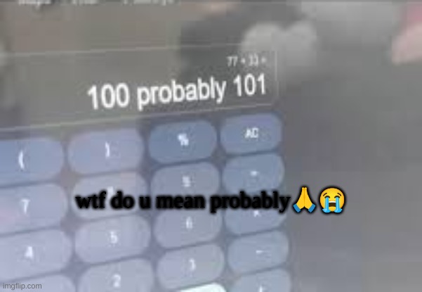 wtf do u mean probably🙏😭 | made w/ Imgflip meme maker