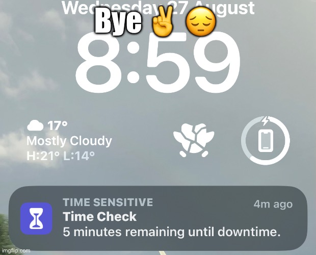 Bye ✌️ 😔 | made w/ Imgflip meme maker