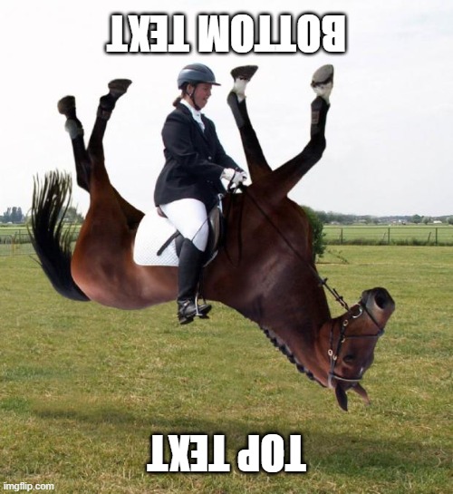 esroh | BOTTOM TEXT; TOP TEXT | image tagged in horse upside down | made w/ Imgflip meme maker