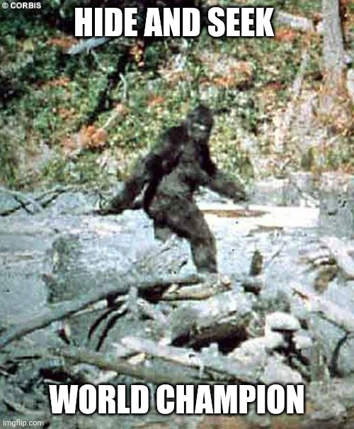 Bigfoot | HIDE AND SEEK; WORLD CHAMPION | image tagged in bigfoot,funny memes | made w/ Imgflip meme maker