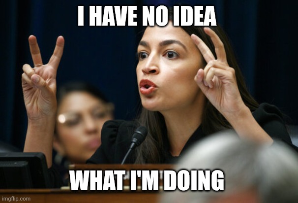 No Idea | I HAVE NO IDEA; WHAT I'M DOING | image tagged in aoc the air head makes air quotes,funny memes | made w/ Imgflip meme maker