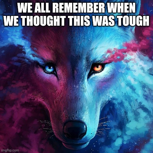 The must tough thing known to man | WE ALL REMEMBER WHEN WE THOUGHT THIS WAS TOUGH | image tagged in tough,fun | made w/ Imgflip meme maker