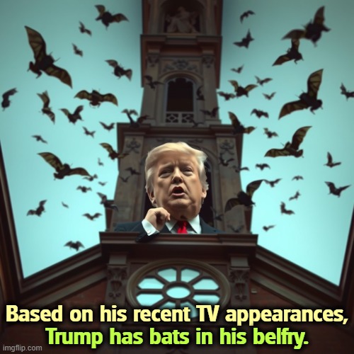 Based on his recent appearances, Trump has bats in his belfry. | Based on his recent TV appearances, Trump has bats in his belfry. | image tagged in based on his recent appearances trump has bats in his belfry,trump,bats,crazy,insane,senile | made w/ Imgflip meme maker