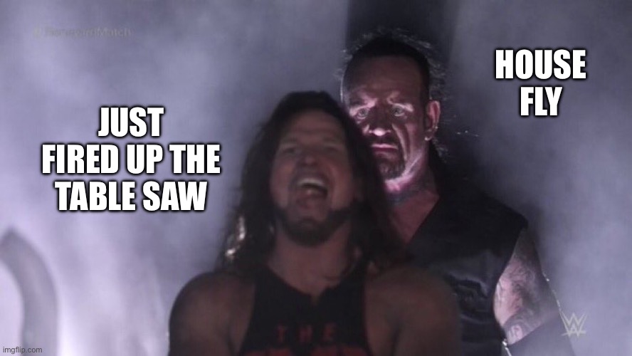 AJ Styles & Undertaker | HOUSE FLY; JUST FIRED UP THE TABLE SAW | image tagged in aj styles undertaker | made w/ Imgflip meme maker