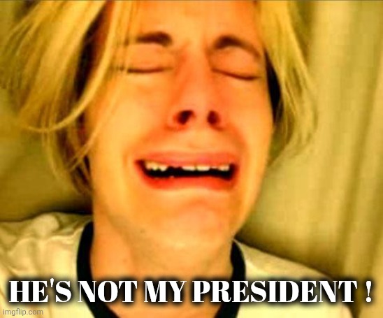 Leave Britney Alone | HE'S NOT MY PRESIDENT ! | image tagged in leave britney alone | made w/ Imgflip meme maker