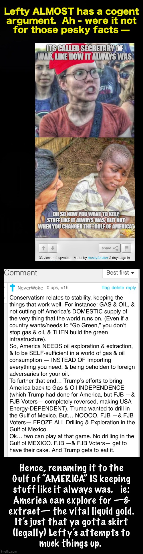 Like Virtue Signaling — They can only MIMIC a well thought out argument | Lefty ALMOST has a cogent
argument.  Ah - were it not
for those pesky facts —; Hence, renaming it to the
Gulf of “AMERICA” IS keeping
stuff like it always was.   ie:
America can explore for —&
extract— the vital liquid gold.
It’s just that ya gotta skirt
(legally) Lefty’s attempts to
muck things up. | image tagged in memes,lefty can lie cheat steal,lefty cant think or plan,lefty cant see around corners,just _ i want _ now,fjb voters kissmyass | made w/ Imgflip meme maker