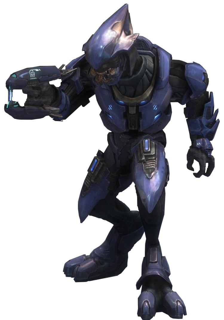 Sangheili Blank Meme Template