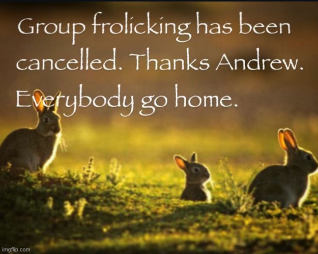 frolicking cancelled | image tagged in frolicking cancelled | made w/ Imgflip meme maker