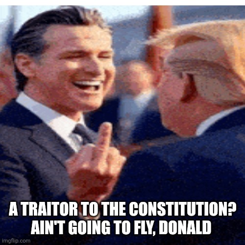 A TRAITOR TO THE CONSTITUTION?
AIN'T GOING TO FLY, DONALD | made w/ Imgflip meme maker