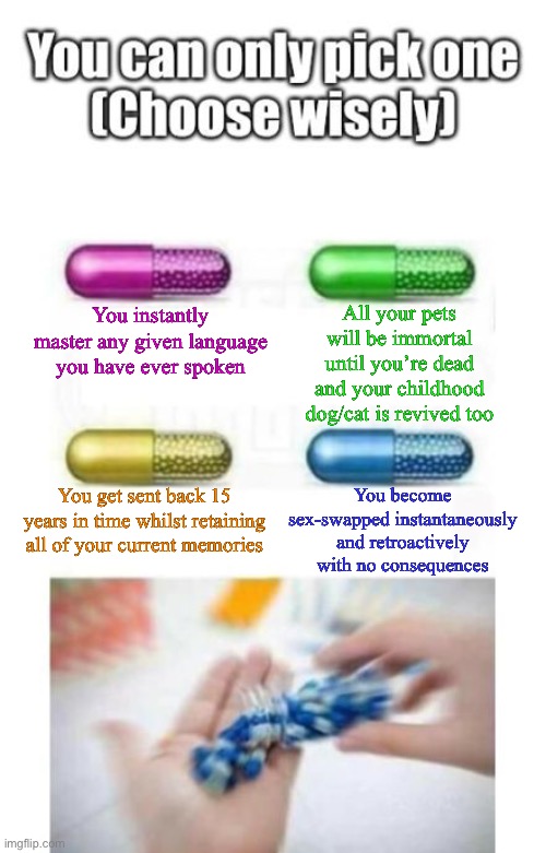 Pills choice | All your pets will be immortal until you’re dead and your childhood dog/cat is revived too; You instantly master any given language you have ever spoken; You become sex-swapped instantaneously and retroactively with no consequences; You get sent back 15 years in time whilst retaining all of your current memories | image tagged in choose wisely,cake,pills,funny,hypothetical,meme | made w/ Imgflip meme maker