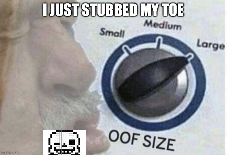 Oof size large | I JUST STUBBED MY TOE | image tagged in oof size large | made w/ Imgflip meme maker