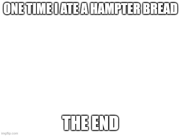 hampter bred | ONE TIME I ATE A HAMPTER BREAD; THE END | image tagged in ha ha tags go brr,oh wow are you actually reading these tags,you have been eternally cursed for reading the tags | made w/ Imgflip meme maker