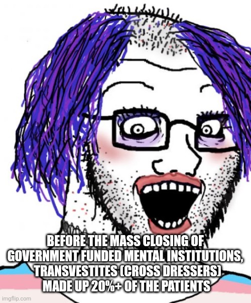 BEFORE THE MASS CLOSING OF GOVERNMENT FUNDED MENTAL INSTITUTIONS,
  TRANSVESTITES (CROSS DRESSERS)
 MADE UP 20%+ OF THE PATIENTS | image tagged in funny memes | made w/ Imgflip meme maker