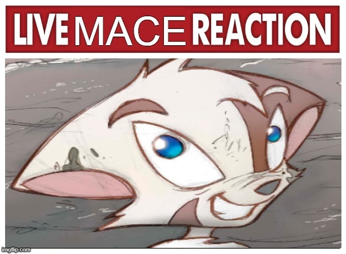 Live Mace Reaction (Dreamkeepers meme) | image tagged in dreamkeepers,memes,live reaction | made w/ Imgflip meme maker