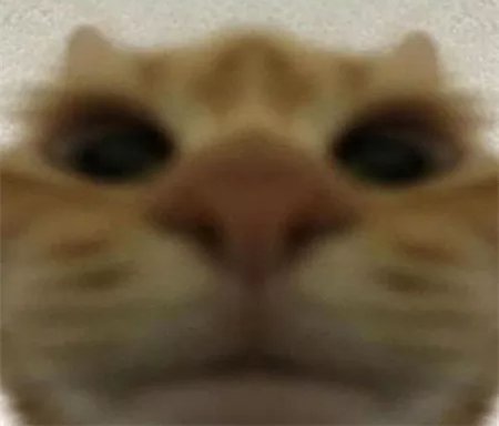 Tried to unlock your iphone Blank Meme Template