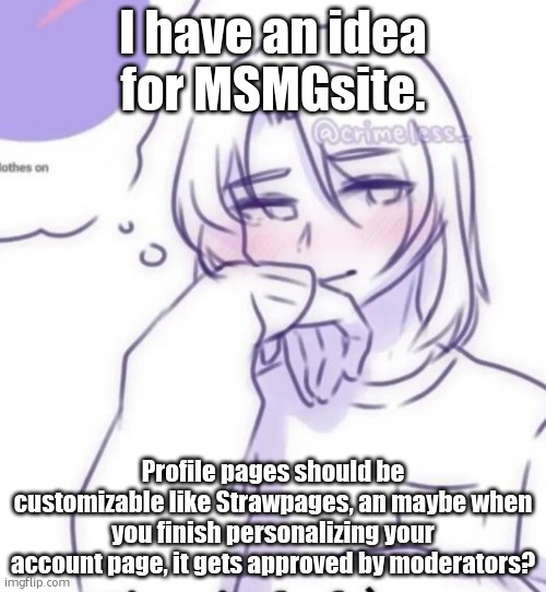 Smug look | I have an idea for MSMGsite. Profile pages should be customizable like Strawpages, an maybe when you finish personalizing your account page, it gets approved by moderators? | image tagged in smug look | made w/ Imgflip meme maker