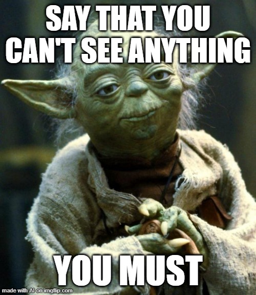 You said that you can't see anything | SAY THAT YOU CAN'T SEE ANYTHING; YOU MUST | image tagged in memes,star wars yoda,funny | made w/ Imgflip meme maker