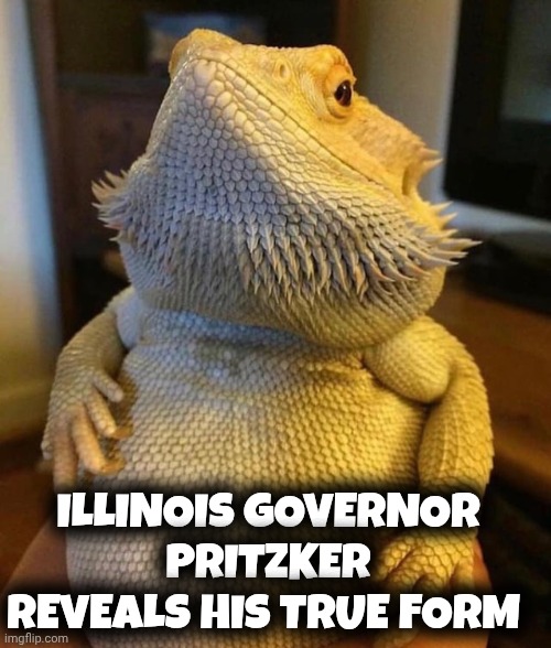 Governor Pritzker meme | ILLINOIS GOVERNOR PRITZKER REVEALS HIS TRUE FORM | image tagged in democrat | made w/ Imgflip meme maker