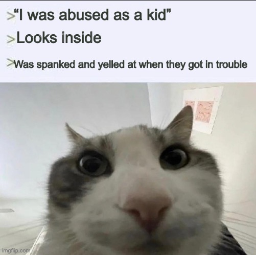 Cat looks inside | “I was abused as a kid”; Looks inside; Was spanked and yelled at when they got in trouble | image tagged in cat looks inside | made w/ Imgflip meme maker