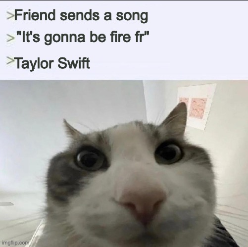 Cat looks inside | Friend sends a song; "It's gonna be fire fr"; Taylor Swift | image tagged in cat looks inside | made w/ Imgflip meme maker