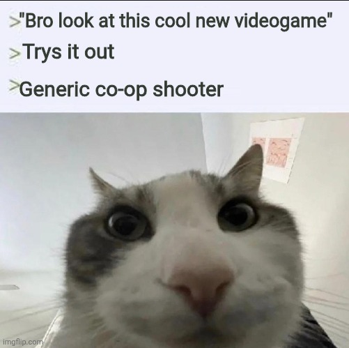 Cat looks inside | "Bro look at this cool new videogame"; Trys it out; Generic co-op shooter | image tagged in cat looks inside | made w/ Imgflip meme maker