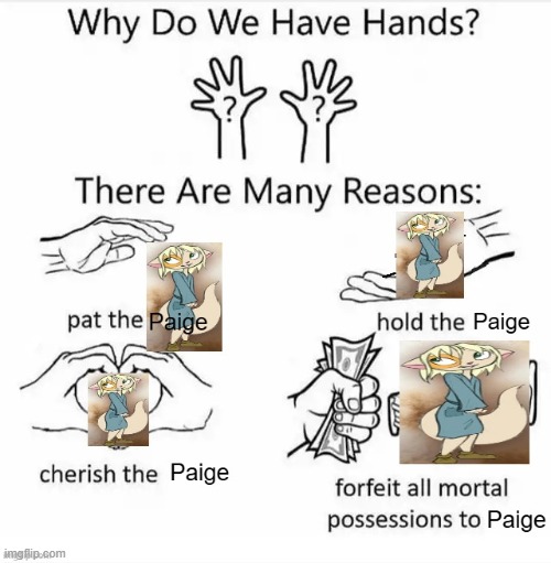 Paige = cutest character in Dreamkeepers | image tagged in dreamkeepers,memes,why do we have hands | made w/ Imgflip meme maker