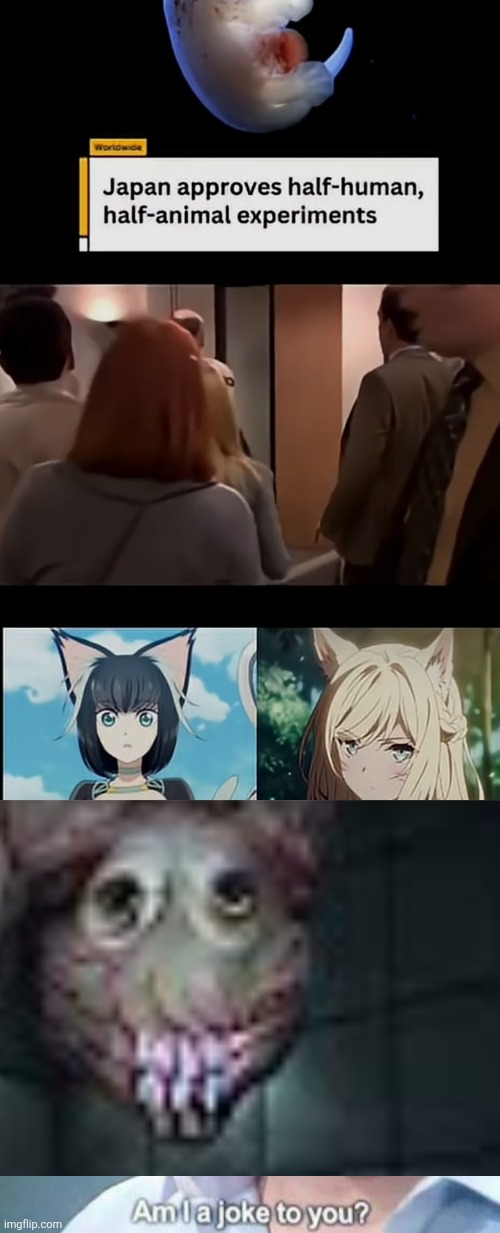 Mfs be like "YAY! CATGIRLS!" like mf I know there's consequences to actions powered by the greed and hubris of humanity." | image tagged in hey japan lock back tf in and,make a planet dob 2,get back to work,exclamation mark | made w/ Imgflip meme maker