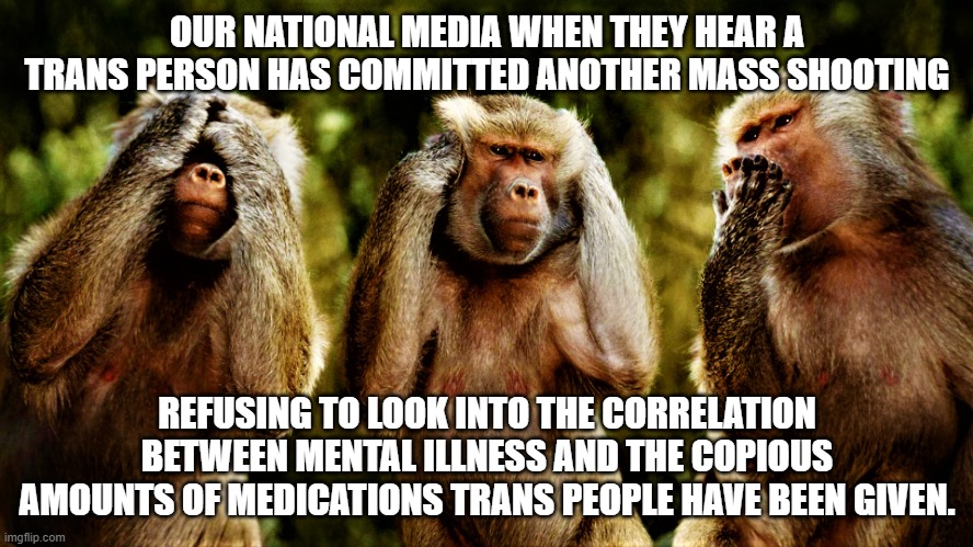 expecting burial for this one | OUR NATIONAL MEDIA WHEN THEY HEAR A TRANS PERSON HAS COMMITTED ANOTHER MASS SHOOTING; REFUSING TO LOOK INTO THE CORRELATION BETWEEN MENTAL ILLNESS AND THE COPIOUS AMOUNTS OF MEDICATIONS TRANS PEOPLE HAVE BEEN GIVEN. | image tagged in monkey version of see no evil hear no evil speak no evil | made w/ Imgflip meme maker