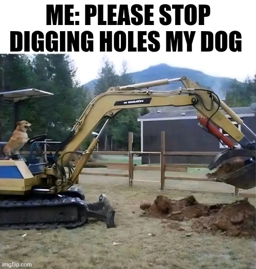 Me: Please Stop Digging Holes My Dog | ME: PLEASE STOP DIGGING HOLES MY DOG | image tagged in chris joines | made w/ Imgflip meme maker