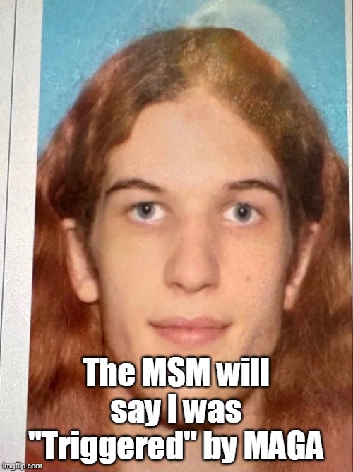 The MSM will say I was "Triggered" by MAGA | made w/ Imgflip meme maker