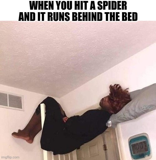 When You Hit A Spider And It Runs Behind The Bed | WHEN YOU HIT A SPIDER AND IT RUNS BEHIND THE BED | image tagged in chrisjoines1 | made w/ Imgflip meme maker