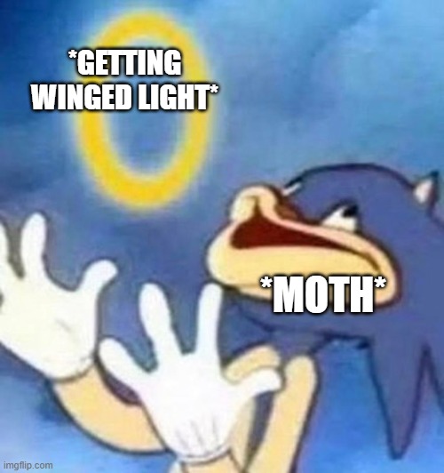 *Honking intensifies to infinity* | *GETTING WINGED LIGHT*; *MOTH* | image tagged in sonic,sky,children,of,the light | made w/ Imgflip meme maker