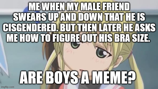 Are boys a meme? | ME WHEN MY MALE FRIEND SWEARS UP AND DOWN THAT HE IS CISGENDERED. BUT THEN LATER HE ASKS ME HOW TO FIGURE OUT HIS BRA SIZE. ARE BOYS A MEME? | image tagged in confused anime girl | made w/ Imgflip meme maker