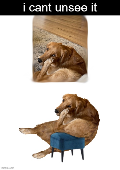 i cant unsee it | image tagged in memes,meme,doge,dog | made w/ Imgflip meme maker