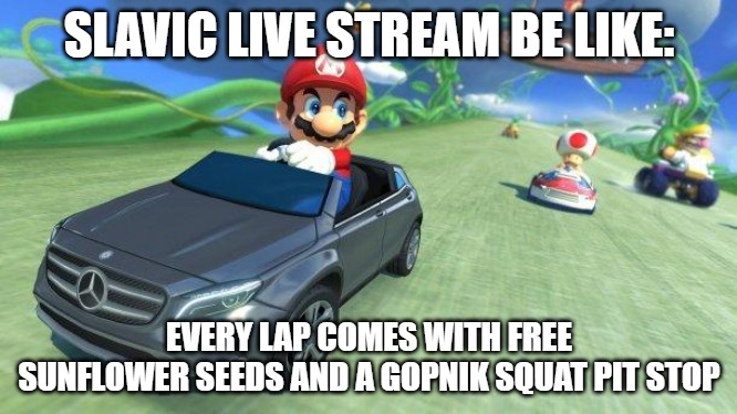 mario kart 8 | SLAVIC LIVE STREAM BE LIKE:; EVERY LAP COMES WITH FREE SUNFLOWER SEEDS AND A GOPNIK SQUAT PIT STOP | image tagged in mario kart 8,slavic live,slavic lives matter | made w/ Imgflip meme maker