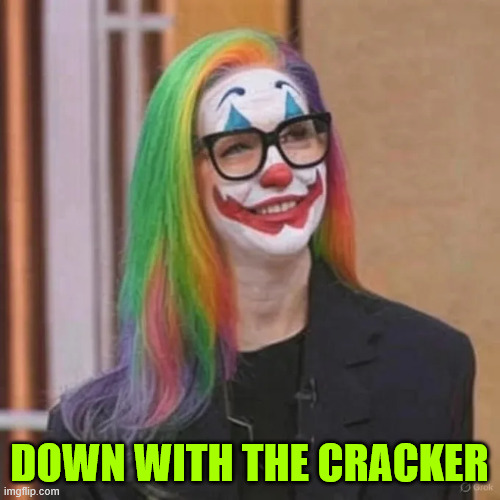 Woke CEO | DOWN WITH THE CRACKER | image tagged in woke ceo,go woke go broke | made w/ Imgflip meme maker