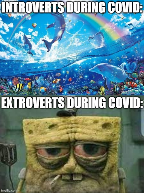 YAY! TIME ALL TO MYSELF! vs *free me from this suffering* | INTROVERTS DURING COVID:; EXTROVERTS DURING COVID: | image tagged in happy dolphin rainbow,covid-19,introvert,vs,extrovert,spongebob | made w/ Imgflip meme maker